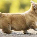 Alexnguyen21 Profile Picture