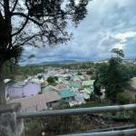 Cô Độc Profile Picture