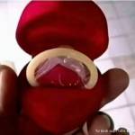 quan nguyen Profile Picture