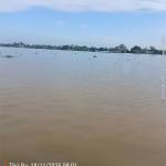 Dan Nguyen Profile Picture