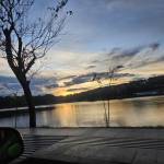 Phúc Nguyễn Profile Picture