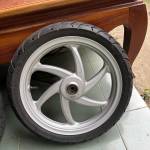 taile Profile Picture