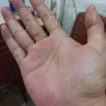 Nguyễn Việt Profile Picture