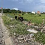 Đức Bùi Profile Picture