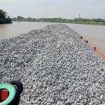 Ben Nguyen Profile Picture