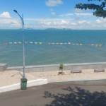 Tân Lê Profile Picture