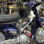 caube2k9 Profile Picture