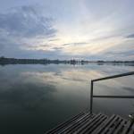 Dy Nguyen Profile Picture