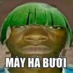 Sơn Phạm Profile Picture