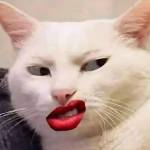 Long Đình Profile Picture