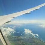 T Lê Profile Picture