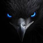 Kim Nguyễn Profile Picture