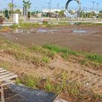 Hoang Nguyen Profile Picture