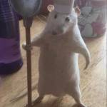 Tí Cu Profile Picture