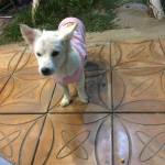 jamesh2 Profile Picture