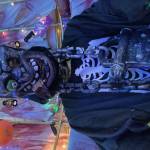 Khang Bùi Profile Picture