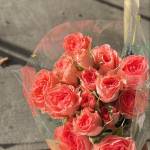 Khánh Huyền Profile Picture