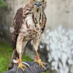 baotin2002 Profile Picture