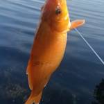 Nh0k69 Profile Picture