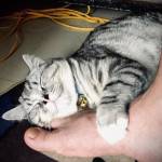 Vinhtran0103 Profile Picture