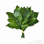 Hg Dg Profile Picture