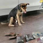 Anh Ba Nhanh Ra Profile Picture