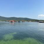 Lê Tran Profile Picture