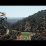 Tun Tran Profile Picture