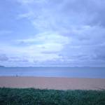 tranbaolong05 Profile Picture