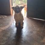 Love Sip Profile Picture