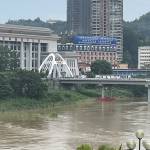 Phương Nguyễn Profile Picture