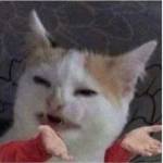 S Ba Profile Picture