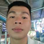 Hải Trần Profile Picture