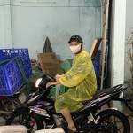 Bảo Thái Profile Picture