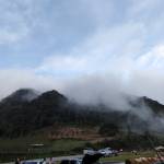 nguyen cuong Profile Picture