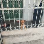 Duy Nguyễn Profile Picture