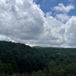 Nam Nguyễn Profile Picture