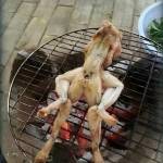 Quốc đạt Phạm nguyên Profile Picture