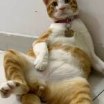 Tũn Cà Na Profile Picture