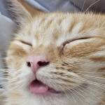 Thu dau Mot Profile Picture