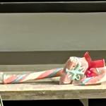 Xfhh Vbs Profile Picture