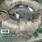 Anhtxautrai72 Profile Picture