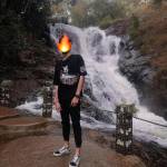 Anh Tý Profile Picture