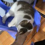 Minh Bùi Profile Picture