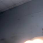 Nghia Nguyễn Profile Picture