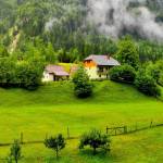 Choi Gai Profile Picture