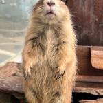 Aaron Fruit Profile Picture