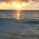 Thien Cao Profile Picture