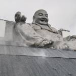 Tài Phan Profile Picture