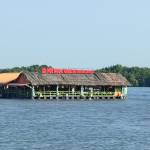 Pkh15689 Profile Picture